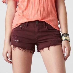 American Eagle maroon festival shorts